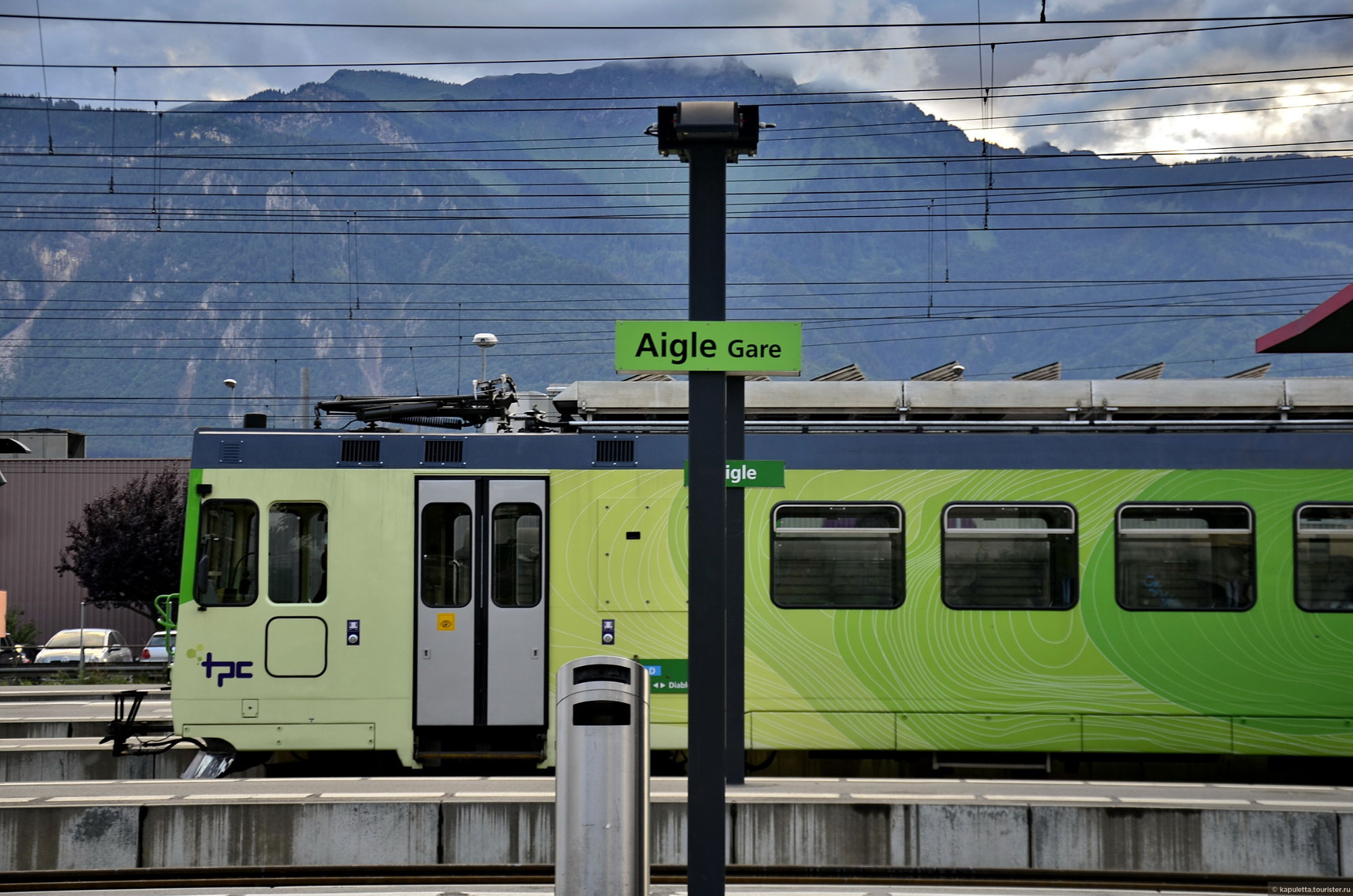 Aigle